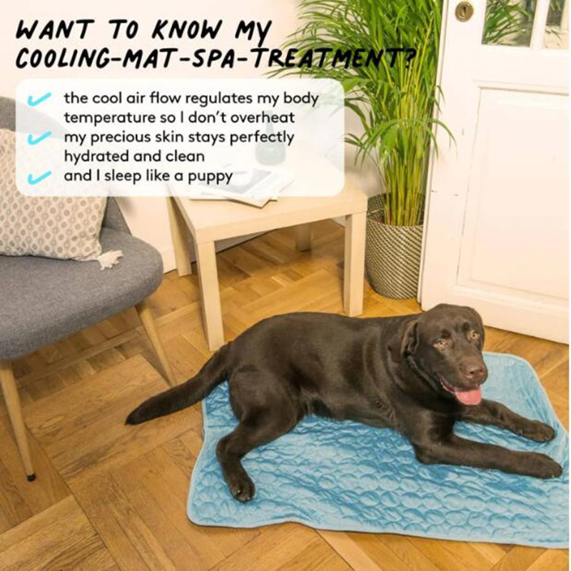 究極の冷却ペットマット、通気性のある洗える夏用パッド、犬猫用 - Cooling Blanket Hot Sleepers のレビューと価格